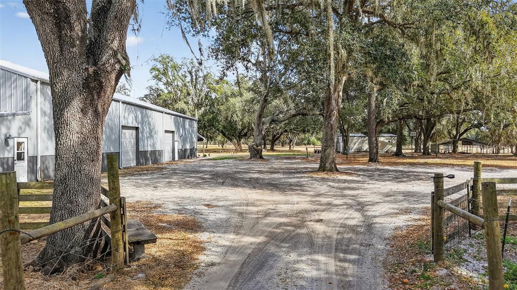 4533 Southwest 37th Terrace Bushnell, FL 33513 - Photo 52 of 58 a view of a yard with plants and trees