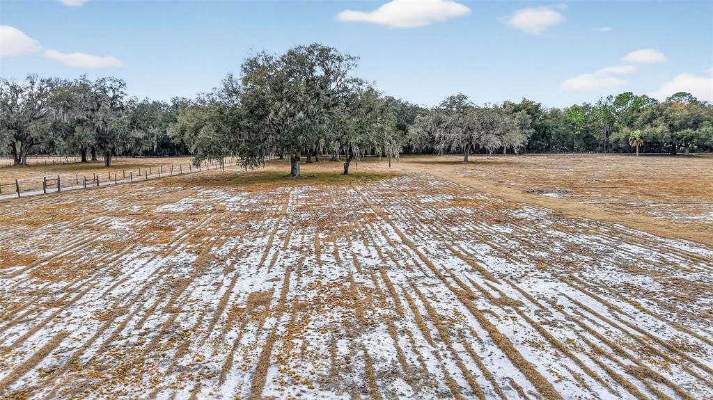 4533 Southwest 37th Terrace Bushnell, FL 33513 - Photo 56 of 58 a view of a backyard