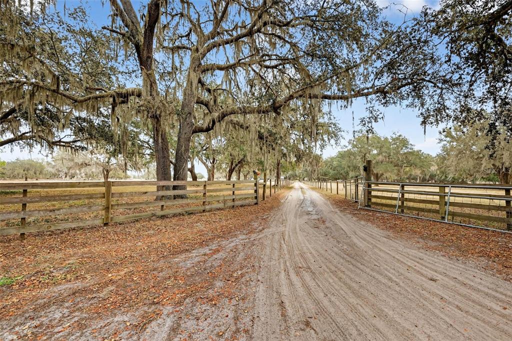 4533 Southwest 37th Terrace Bushnell, FL 33513 - Photo 57 of 58 a view of a yard with wooden fence