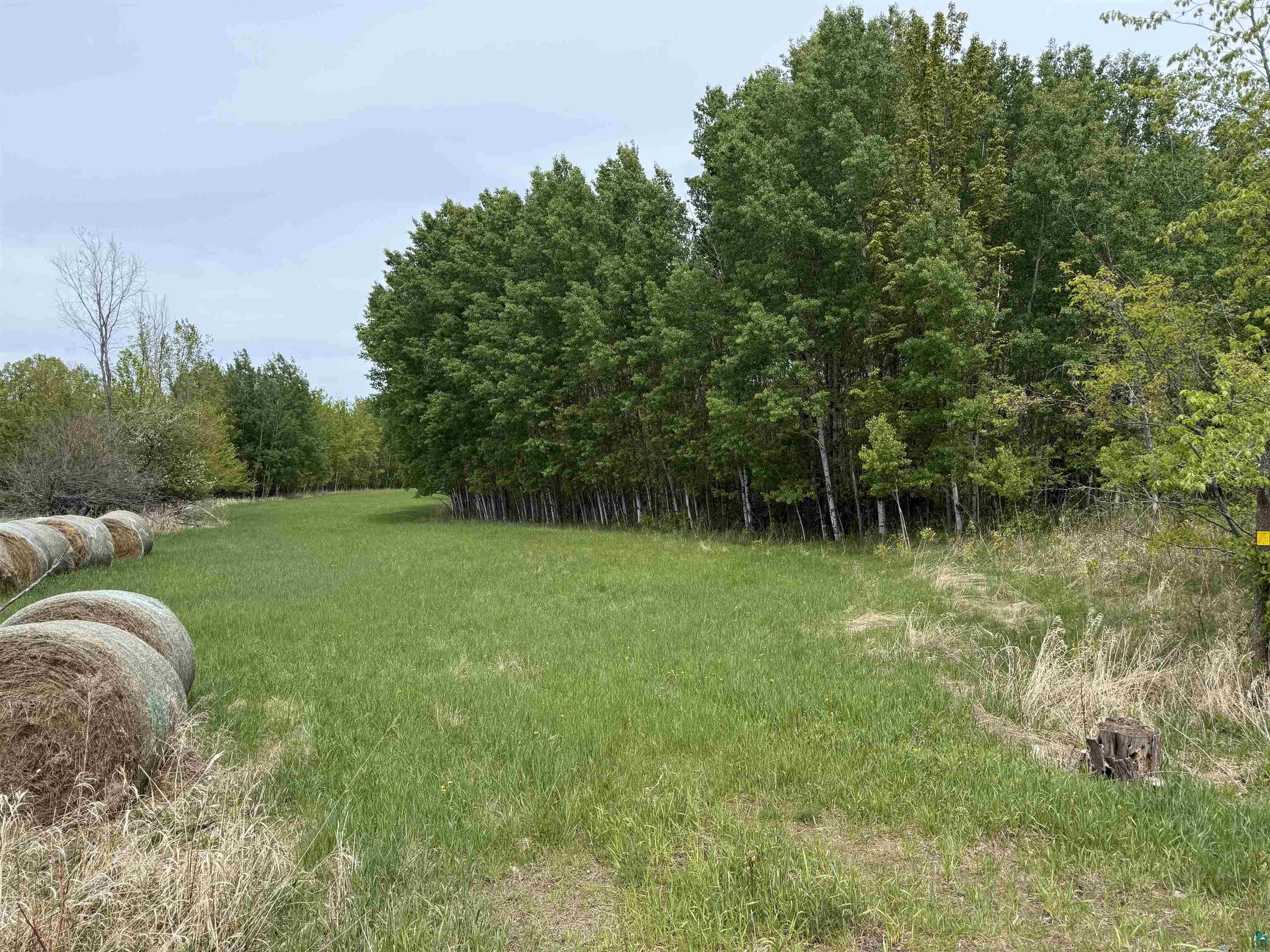 Tbd Hanninen Road Marengo, WI 54855 - Photo 3 of 5 View of yard featuring a wooded view