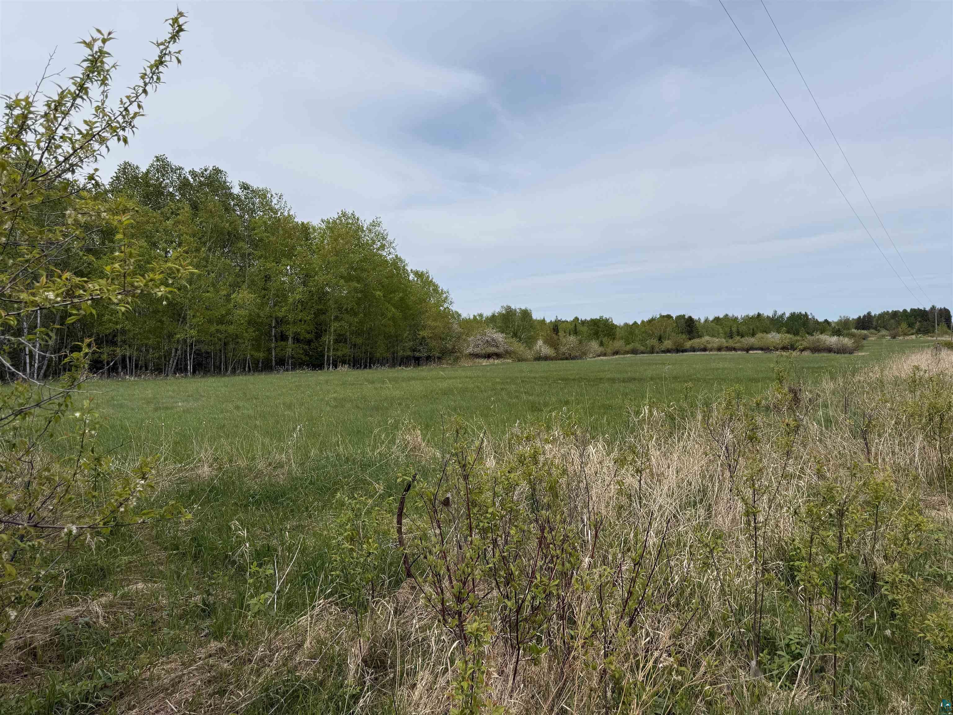 Tbd Hanninen Road Marengo, WI 54855 - Photo 4 of 5 View of wooded area with a view of countryside