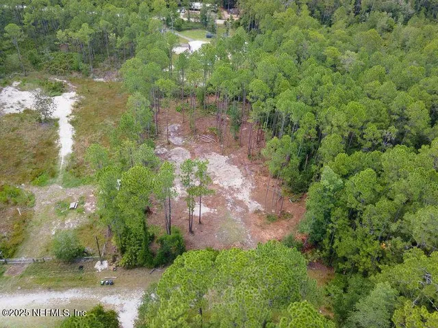 a view of a yard with plants and a bench