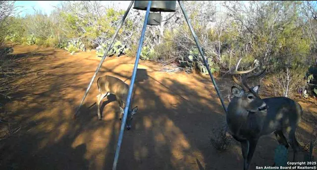 $105,000 | Ab 1244-lane T Los Alamos, Cotulla, TX 78014