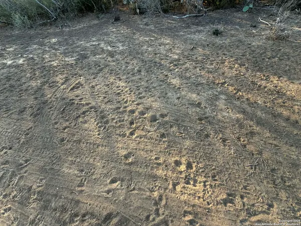 a view of a backyard of the house