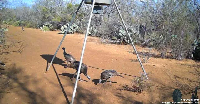 a view of a backyard of the house