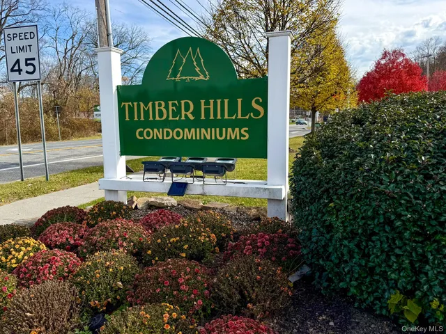 a view of a small yard of the house