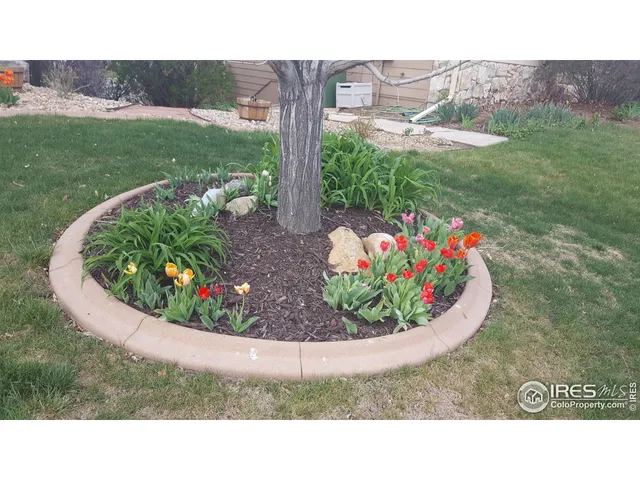 a black and white photo of a lake