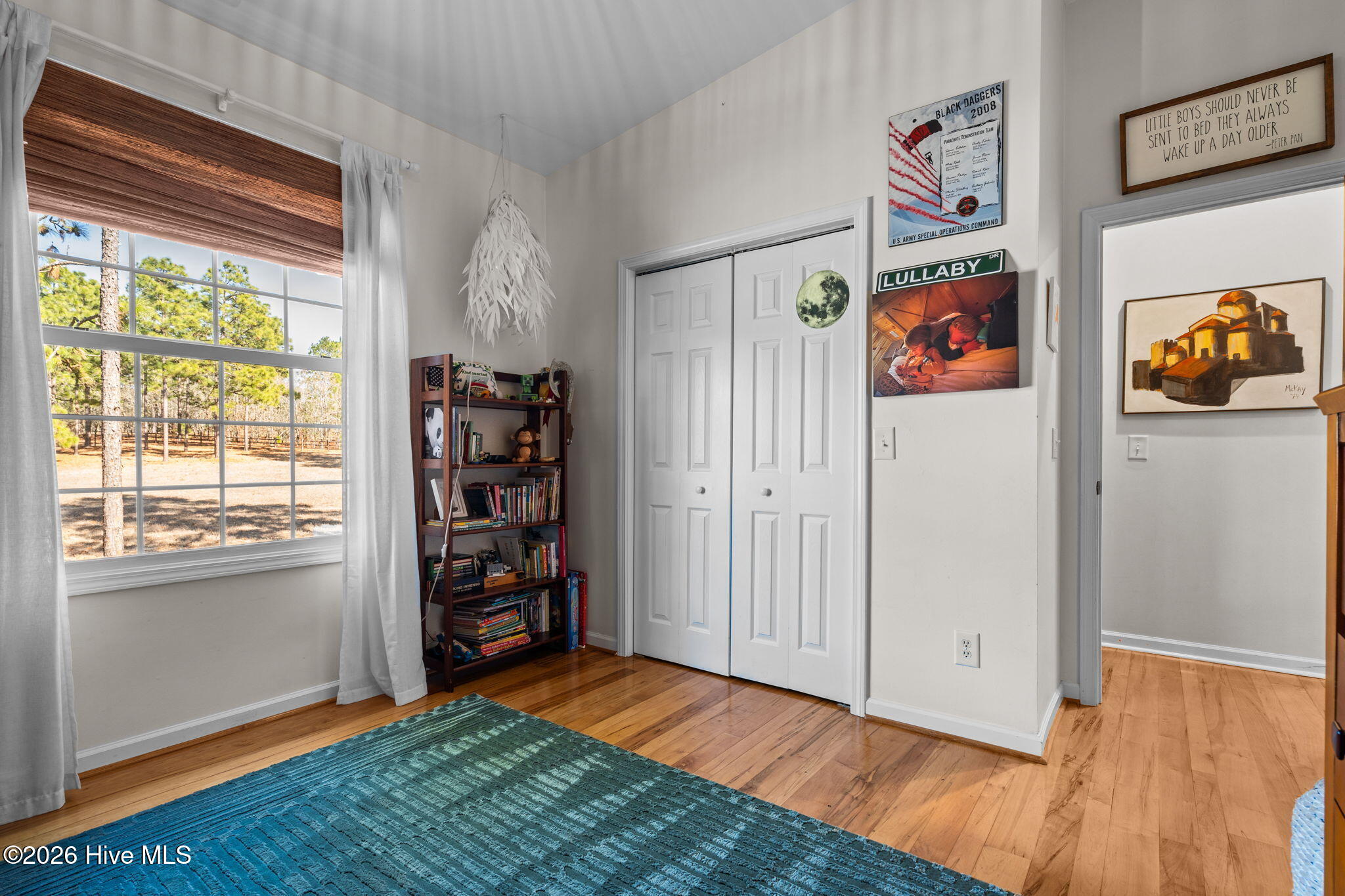 195 McDeeds Creek Road Carthage, NC 28327 - Photo 33 of 66 16-web-or-mls-DSC05292