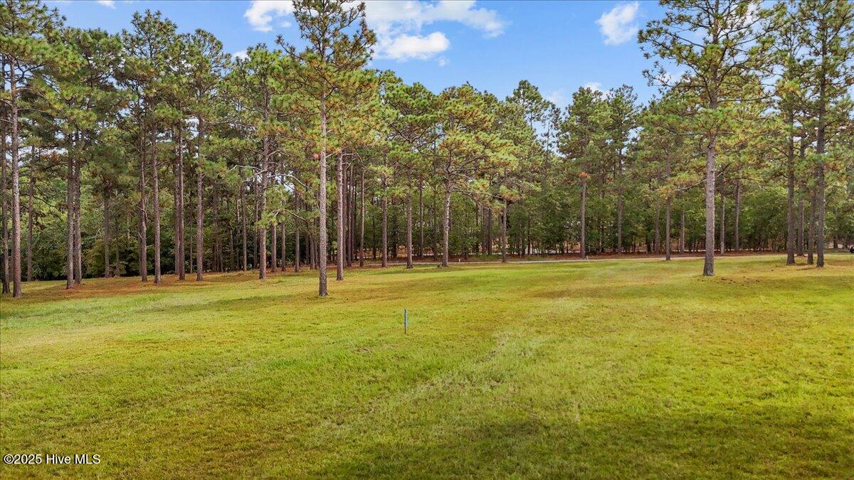 195 McDeeds Creek Road Carthage, NC 28327 - Photo 52 of 66 01-dji_fly_20231226_103534_0376_17579687