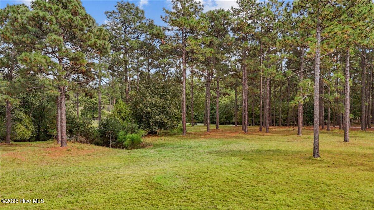 195 McDeeds Creek Road Carthage, NC 28327 - Photo 53 of 66 02-dji_fly_20231226_103540_0377_17579687