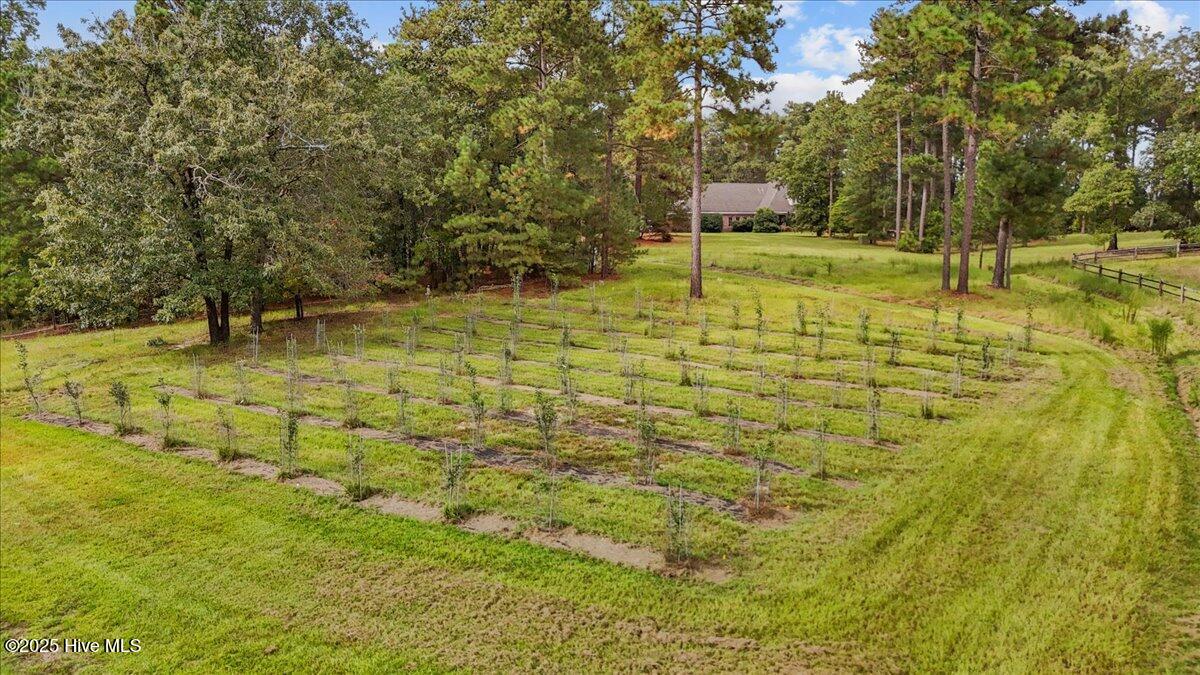 195 McDeeds Creek Road Carthage, NC 28327 - Photo 54 of 66 03-dji_fly_20231226_103632_0380_17579687