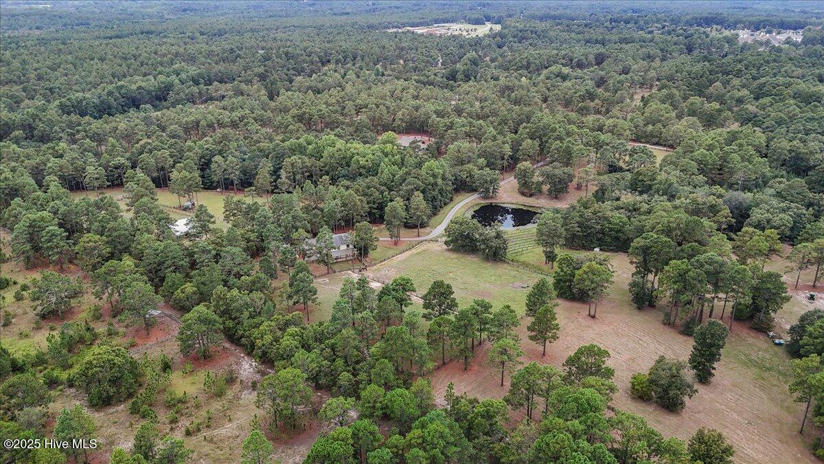 195 McDeeds Creek Road Carthage, NC 28327 - Photo 63 of 66 14-dji_fly_20231222_131100_0334_17575522