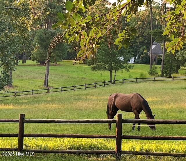 195 McDeeds Creek Road Carthage, NC 28327 - Photo 7 of 66 195 McDeeds Horse