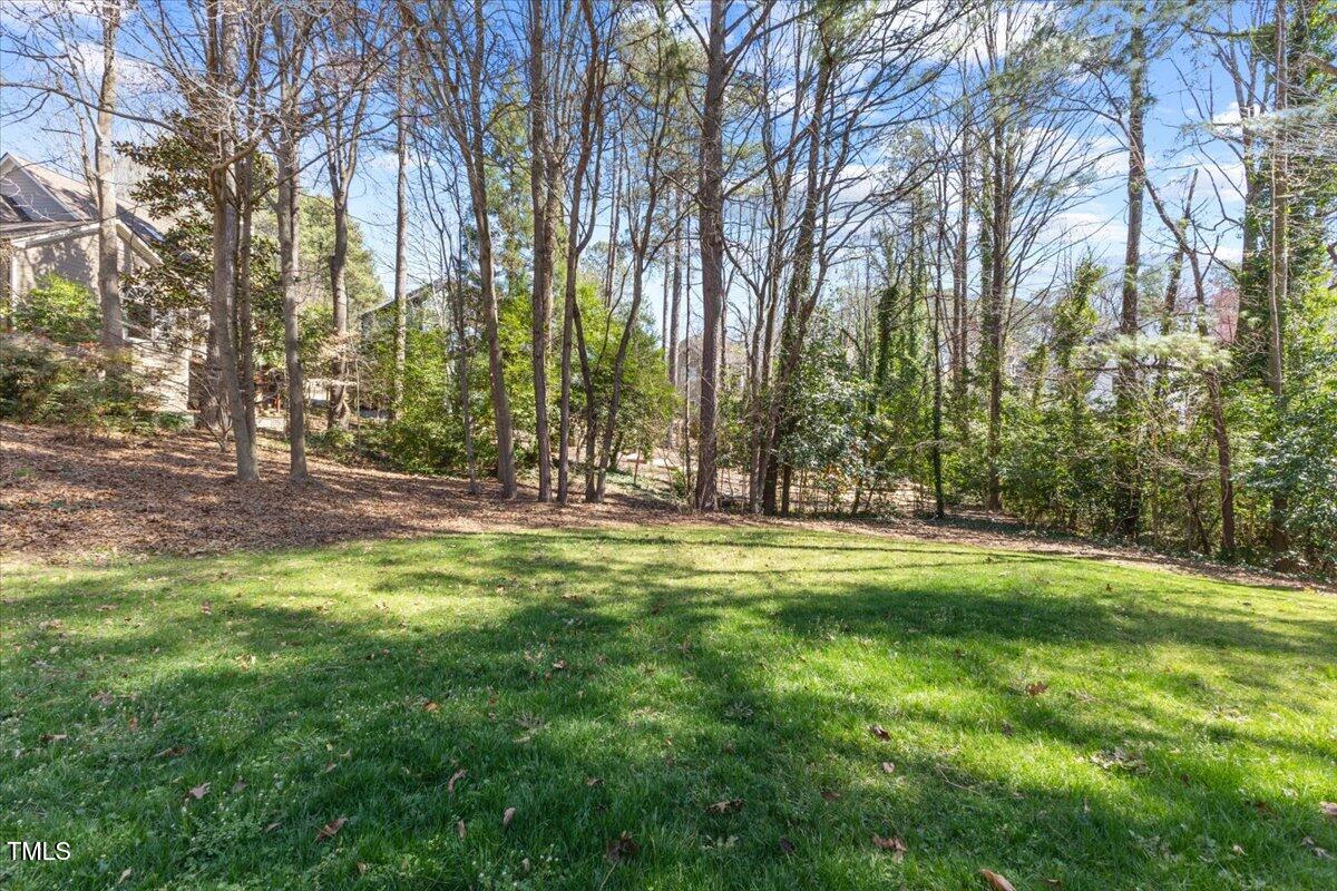 4617 Wee Burn Trail Raleigh, NC 27612 - Photo 62 of 70 Backyard