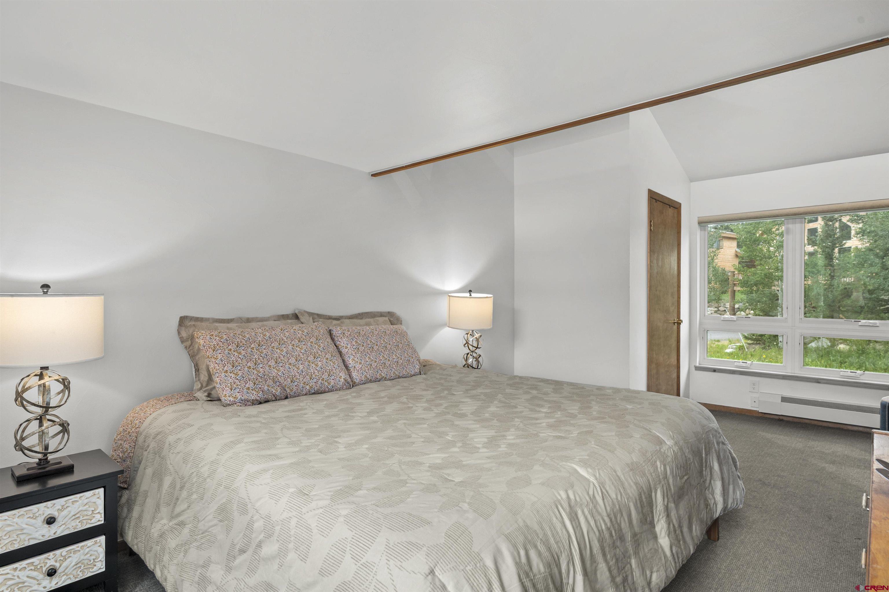 29 Treasury Road Crested Butte, CO 81225 - Photo 32 of 45