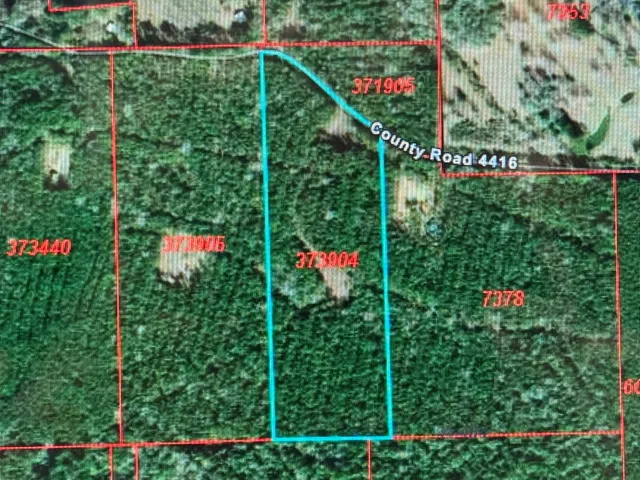 a view of a road with trees in the background