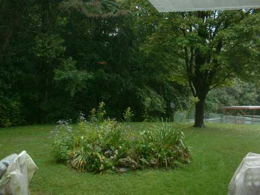 203 Coraopolis Road, Unit 12 Coraopolis, PA 15108 - Photo 2 of 8 Yard/Garden.