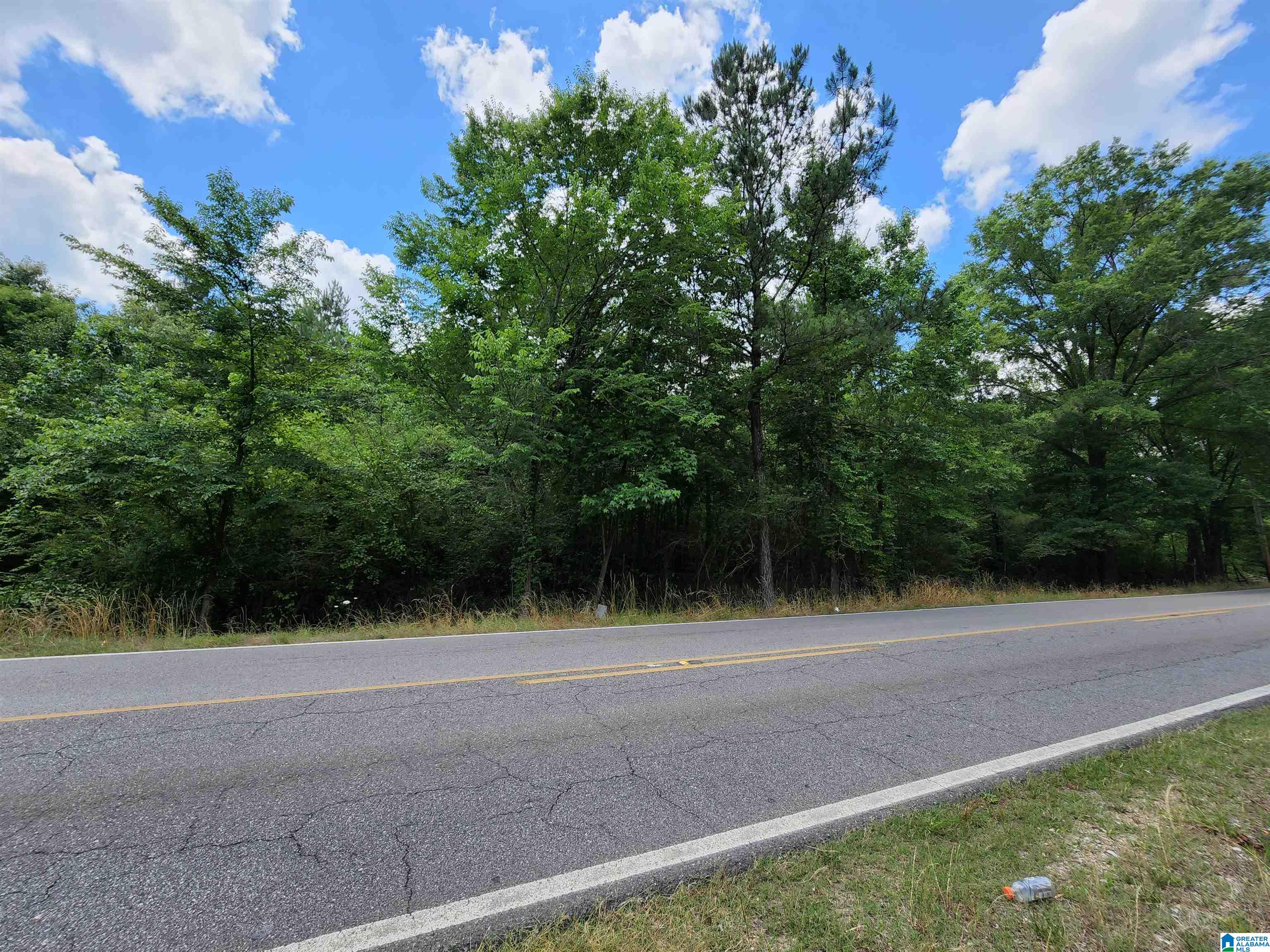 6405 Pocahontas Road Bessemer, AL 35022 - Photo 6 of 10 Gallery Image 6