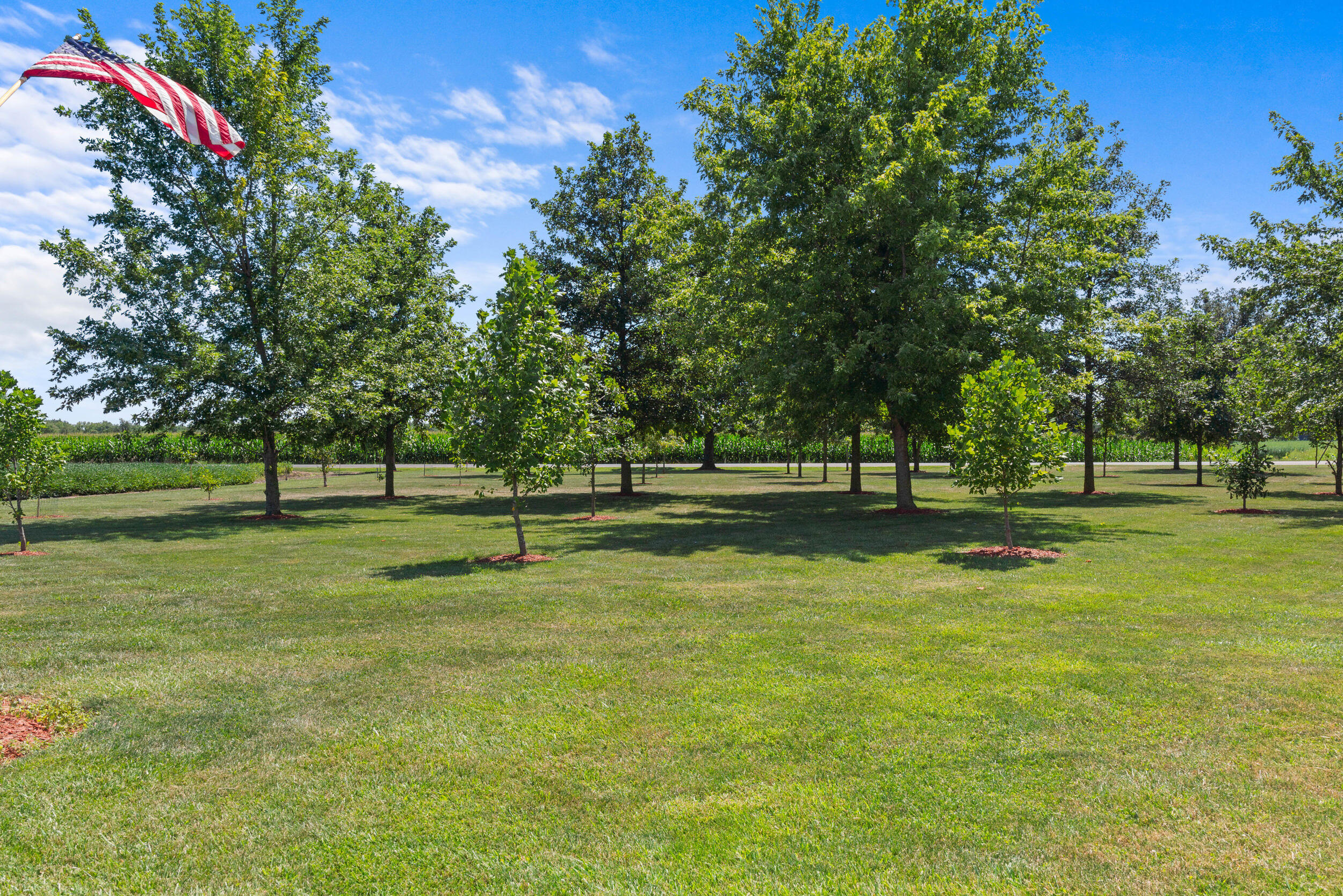 9965 Tuttle Road Pittsford, MI 49271 - Photo 14 of 31 11__dsc8880