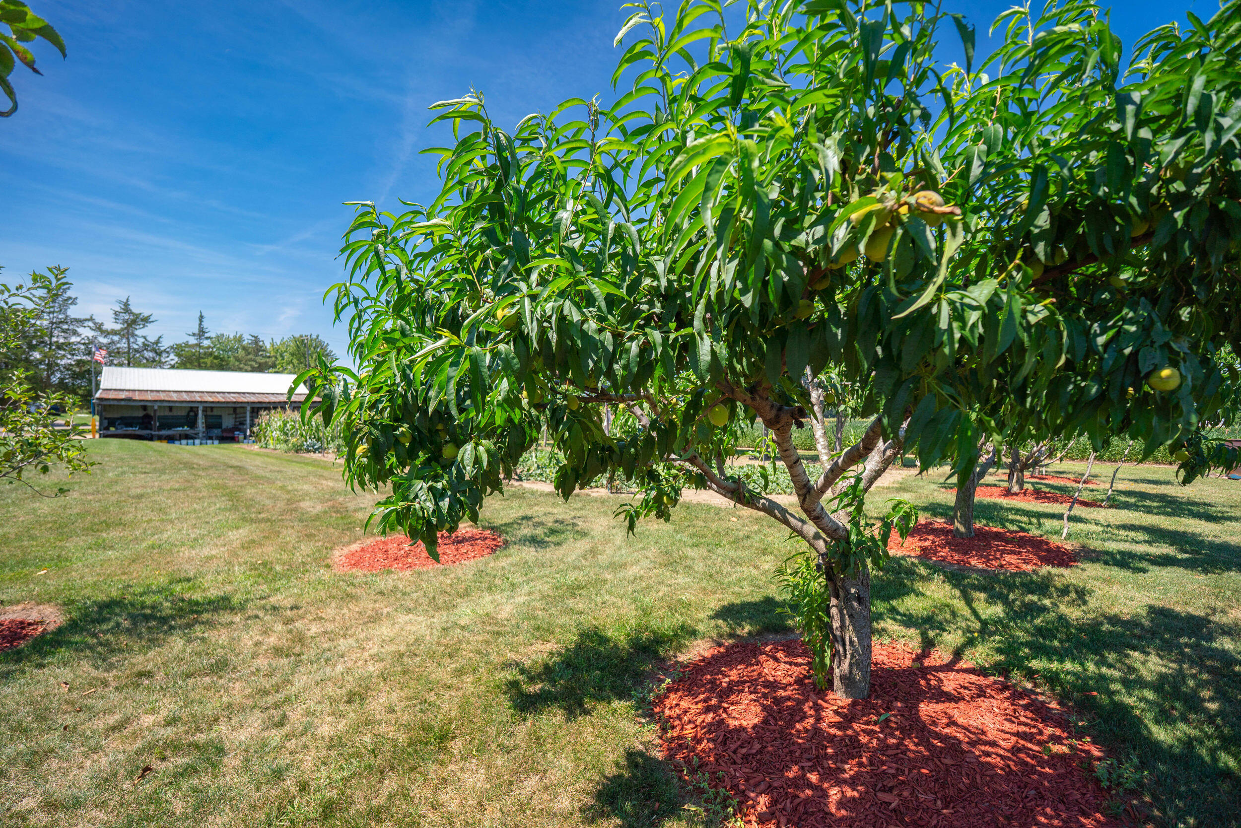 9965 Tuttle Road Pittsford, MI 49271 - Photo 17 of 31 16__dsc8910