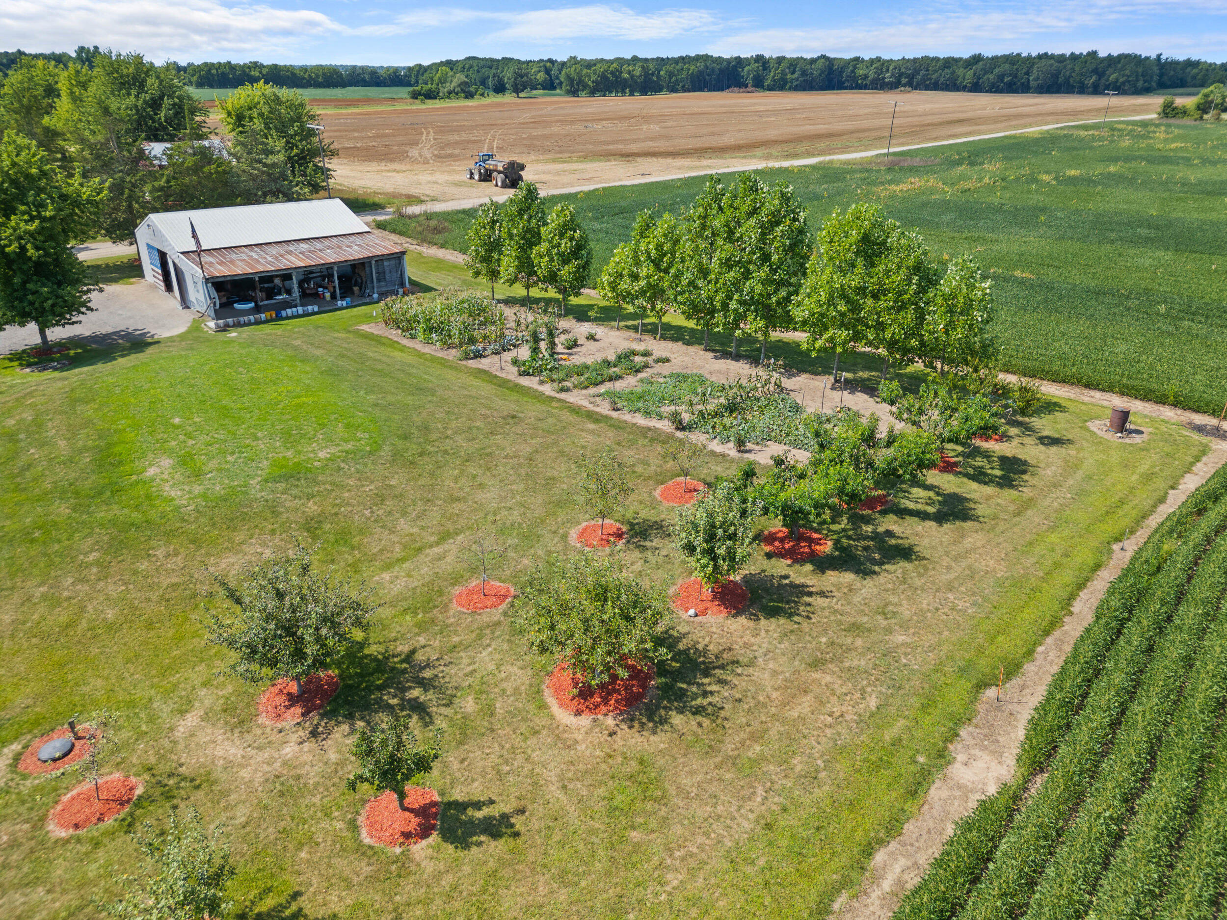 9965 Tuttle Road Pittsford, MI 49271 - Photo 24 of 31 26_dji_0377