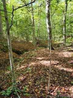 Lot C Homestead Road Lanexa, VA 23089 - Photo 8 of 18 Gallery Image 8