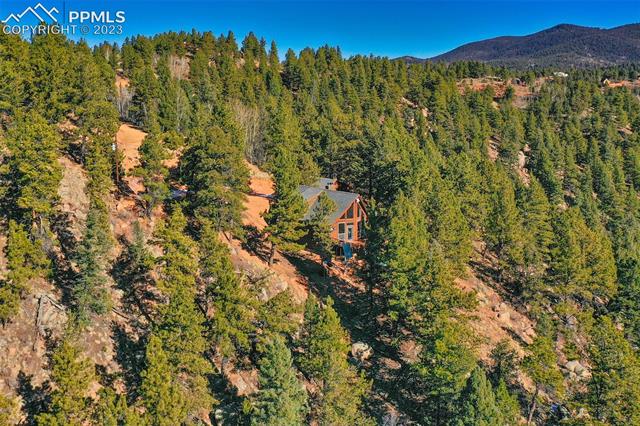 416 Blue Spruce Road Divide, CO 80814 - Photo 46 of 50 Gallery Image 46