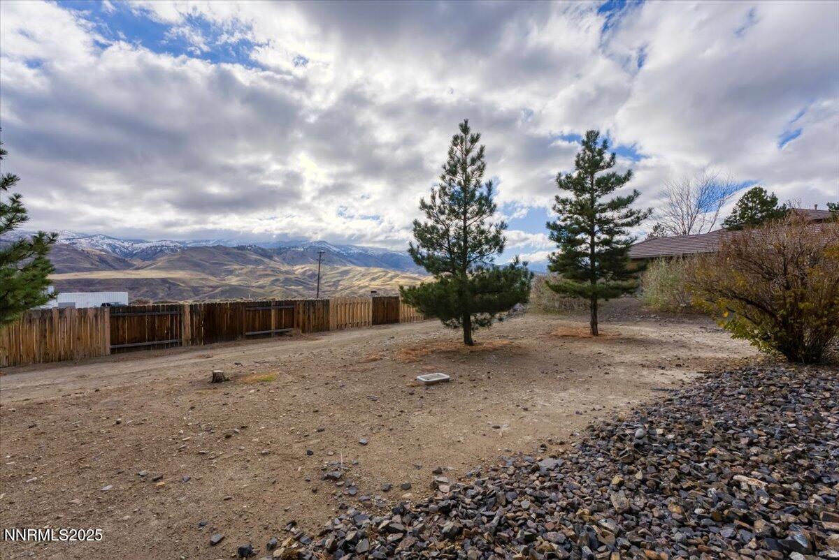6850 Sharlands Avenue Reno, NV 89523 - Photo 18 of 25 a view of a dry yard with lots of trees