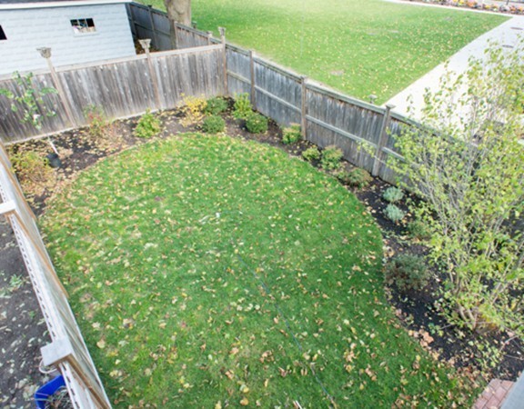 3 Wilson Avenue, Unit 2 Cambridge, MA 02140 - Photo 16 of 17 a view of a backyard with plants