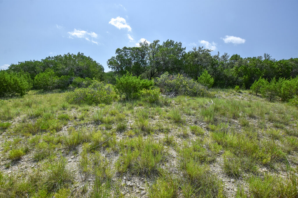 Tbd Lime Creek Road Leander, TX 78641 - Photo 14 of 17 a view of a big yard and large trees