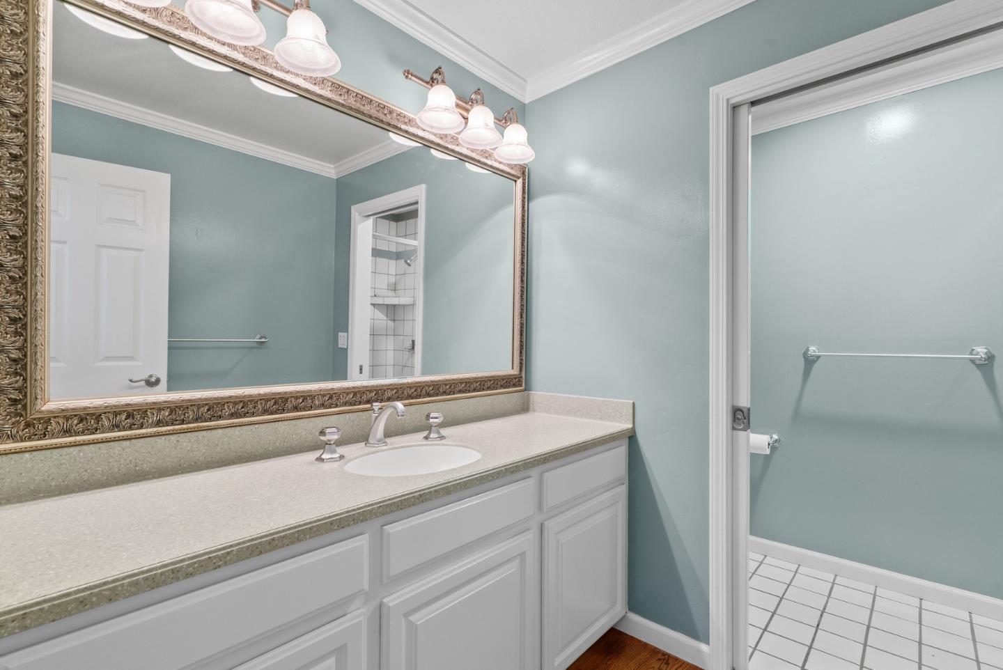 210 Moore Creek Road Santa Cruz, CA 95060 - Photo 23 of 63 a bathroom with a sink and a mirror