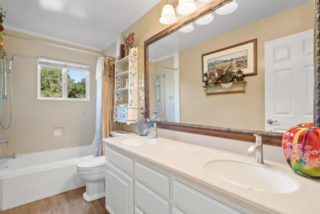 a view of a yard with plants and trees