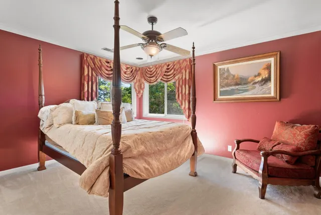 a view of a backyard with plants and a large tree