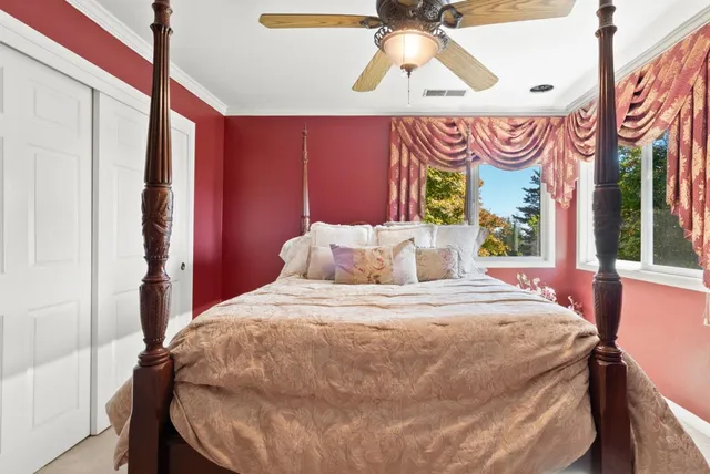 a view of a garden with large trees