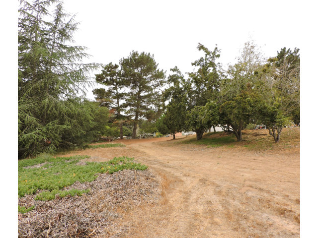 17845 Berta Canyon Road Prunedale, CA 93907 - Photo 5 of 5 Gallery Image 5
