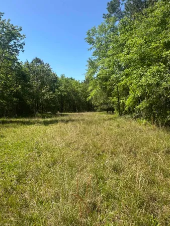 $799,500 | 3282 Northwest Us 221 Highway, Greenville, FL 32331