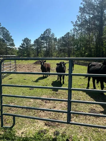 $799,500 | 3282 Northwest Us 221 Highway, Greenville, FL 32331