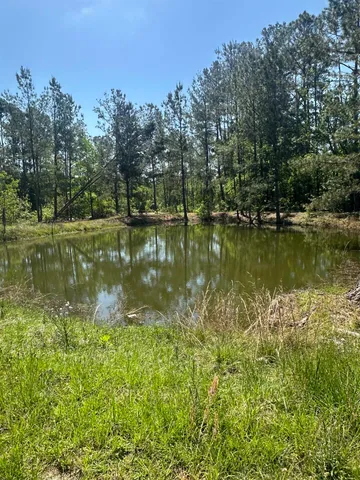 $799,500 | 3282 Northwest Us 221 Highway, Greenville, FL 32331