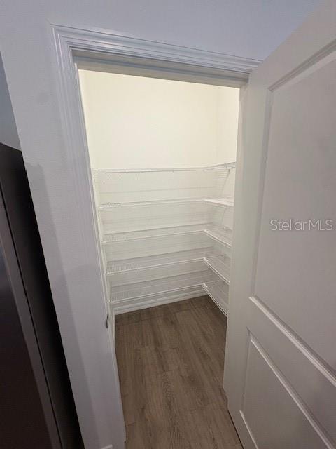 32547 Welling Blade Loop Wesley Chapel, FL 33545 - Photo 5 of 21 a view of walk in closet