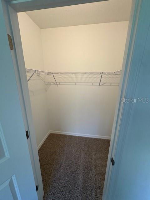 32547 Welling Blade Loop Wesley Chapel, FL 33545 - Photo 9 of 21 a view of storage