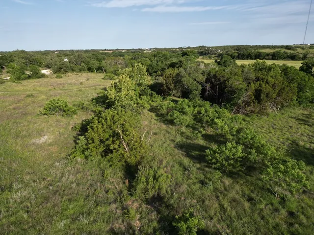 a view of a green field with lots of bushes
