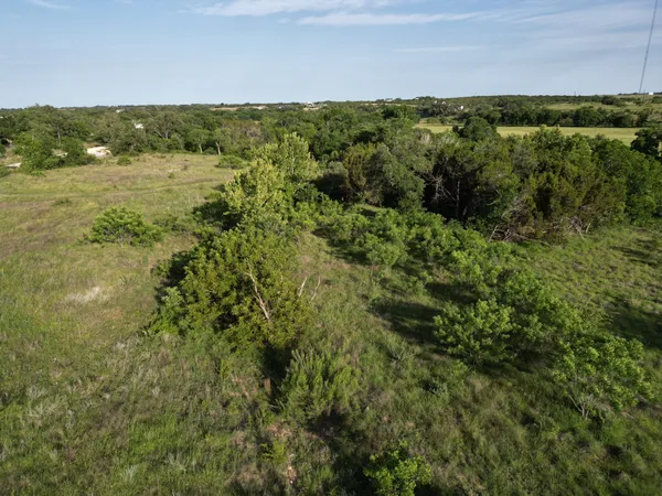 a view of a green field with lots of bushes