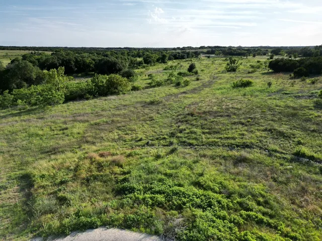 a view of a green field with lots of bushes