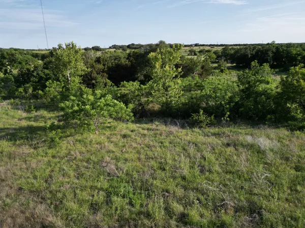 a view of a lush green forest with lots of trees in the background