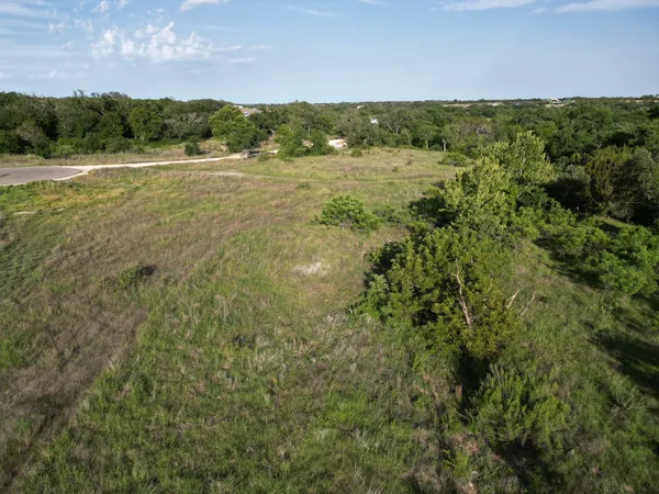 a view of a lush green forest with lots of trees