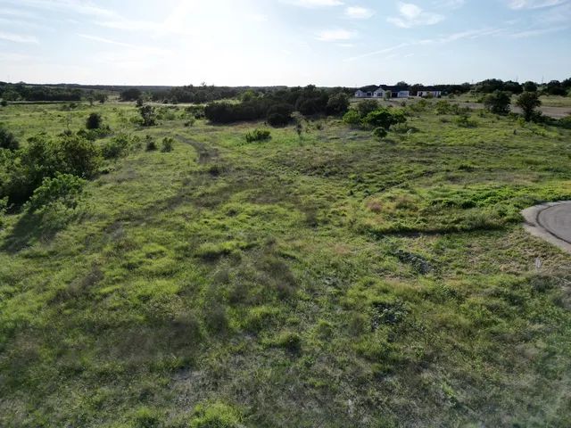 a view of a green field with lots of trees in it