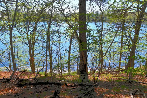 $35,000 | 40039 County Road 17, Browerville, MN 56438