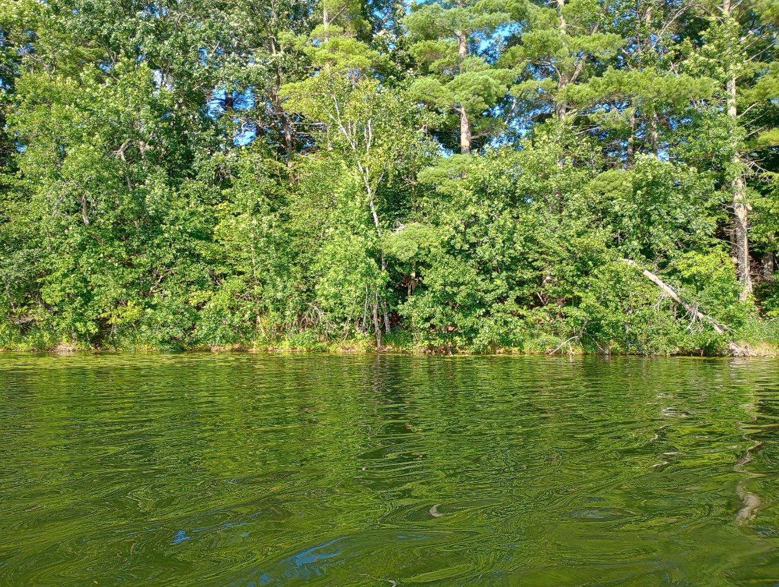 40039 County Road 17 Browerville, MN 56438 - Photo 11 of 34