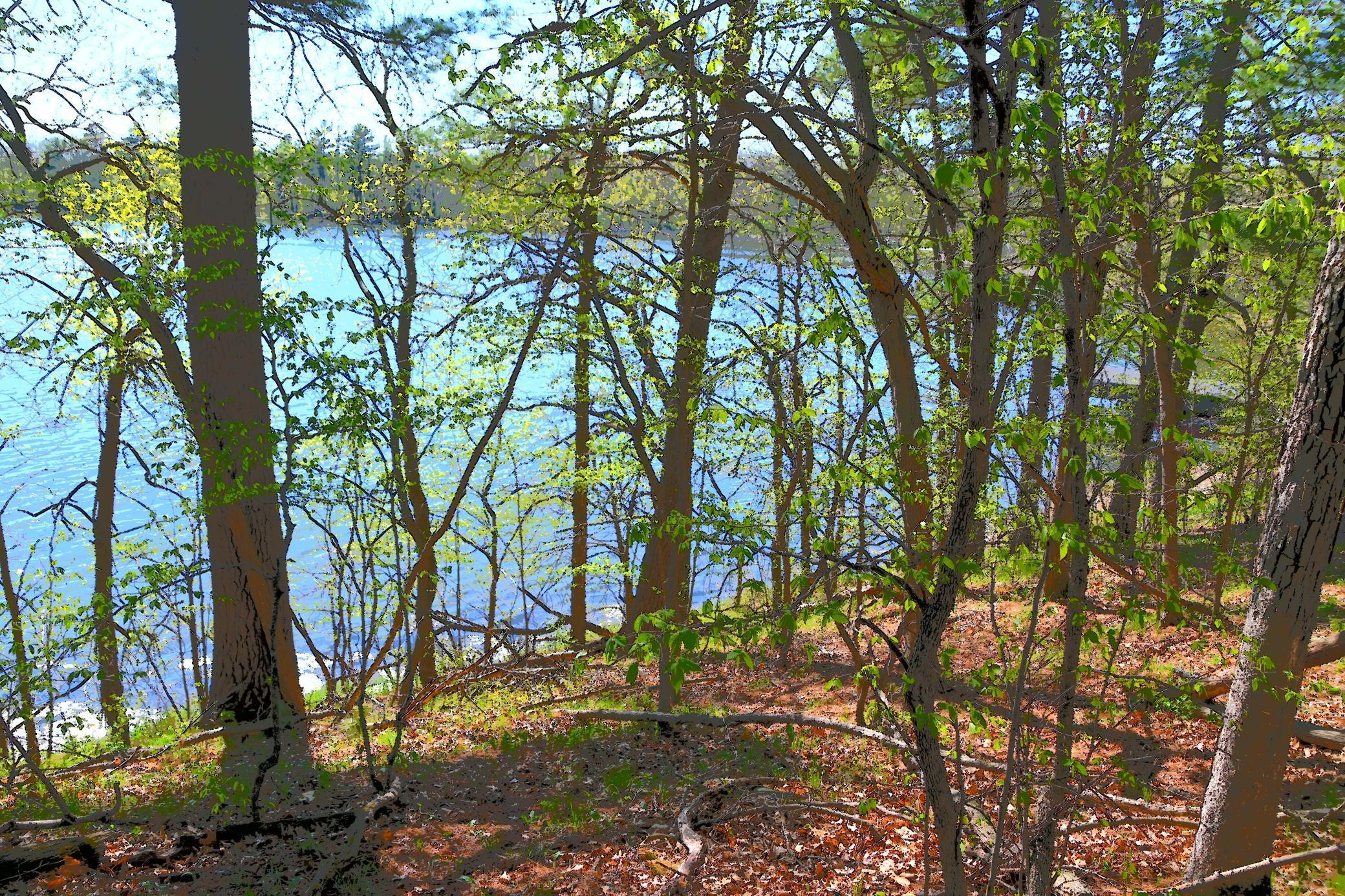 40039 County Road 17 Browerville, MN 56438 - Photo 7 of 34