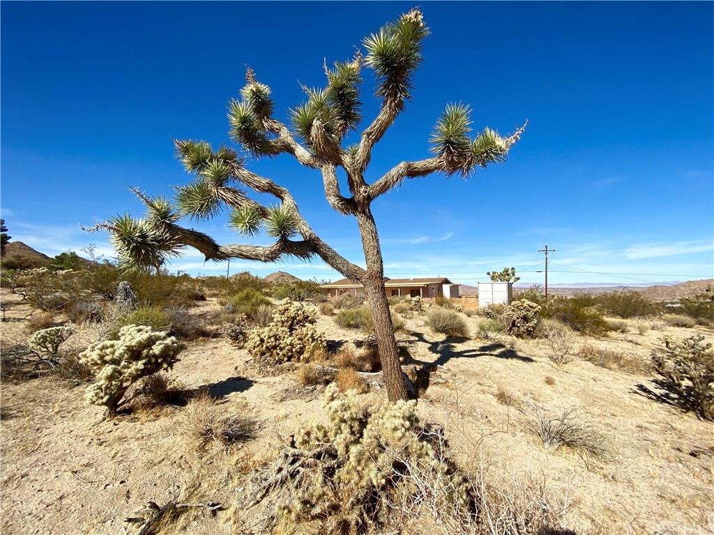61881 Joshua Trail Joshua Tree, CA 92252 - Photo 8 of 22